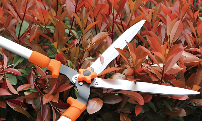 Hedge Shears