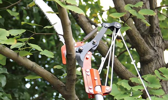 Tree Pole Pruner